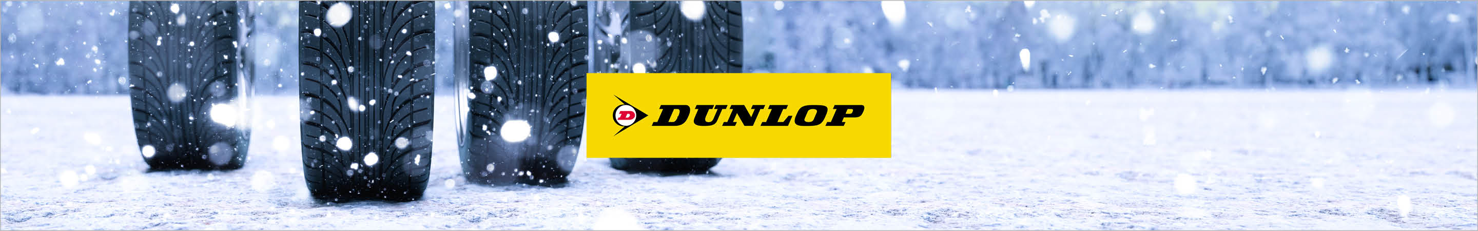 Dunlop Winterreifen