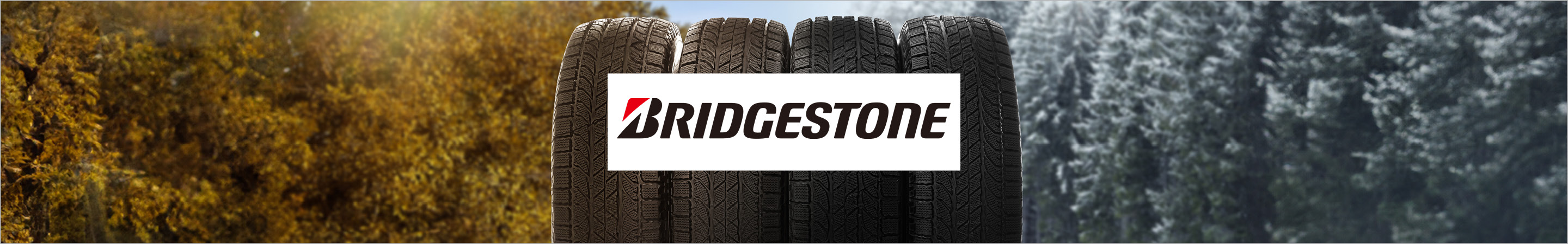 Bridgestone Ganzjahresreifen