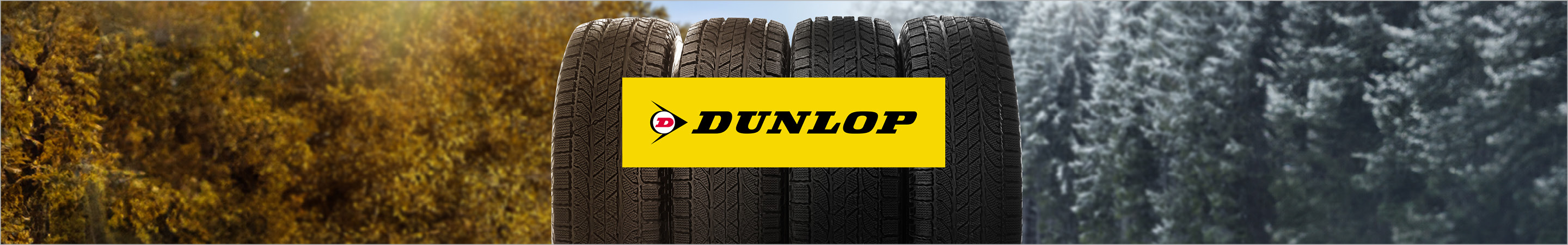 Dunlop Ganzjahresreifen