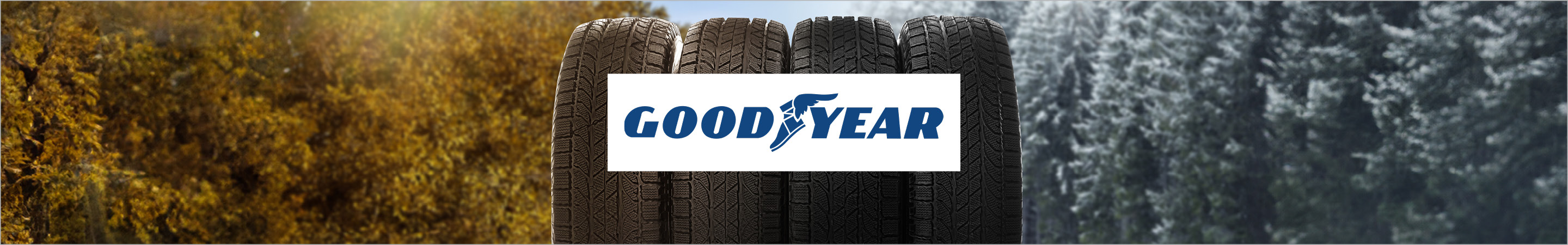 Goodyear Ganzjahresreifen