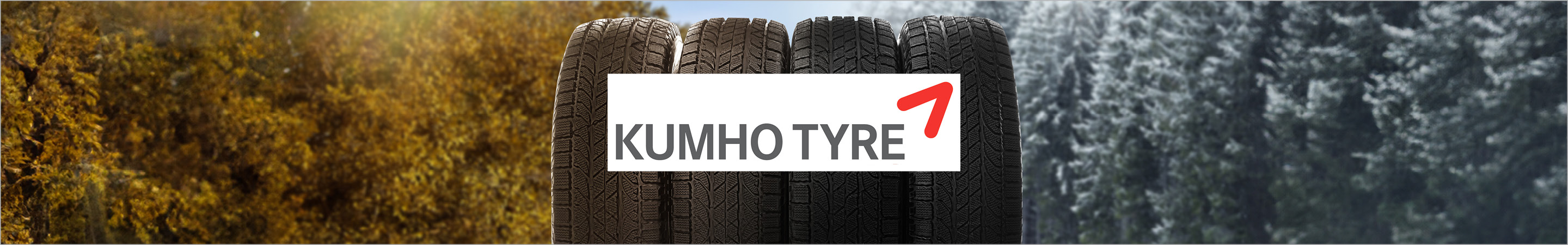 Kumho Ganzjahresreifen