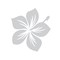 Aufkleber-Auto-Dekor-Hibiskus-Blume-in-Silber-selbstklebend-1-Bogen-mit-16-Stickern