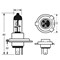 Scheinwerferlampe-für-das-Motorrad-P43T-60/55-W-12-V-von-Ring-1-Stück