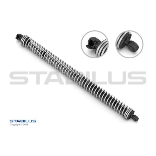 Stabilus-Gasfeder-Federbein-Heckklappe-BMW-Rechts-773666